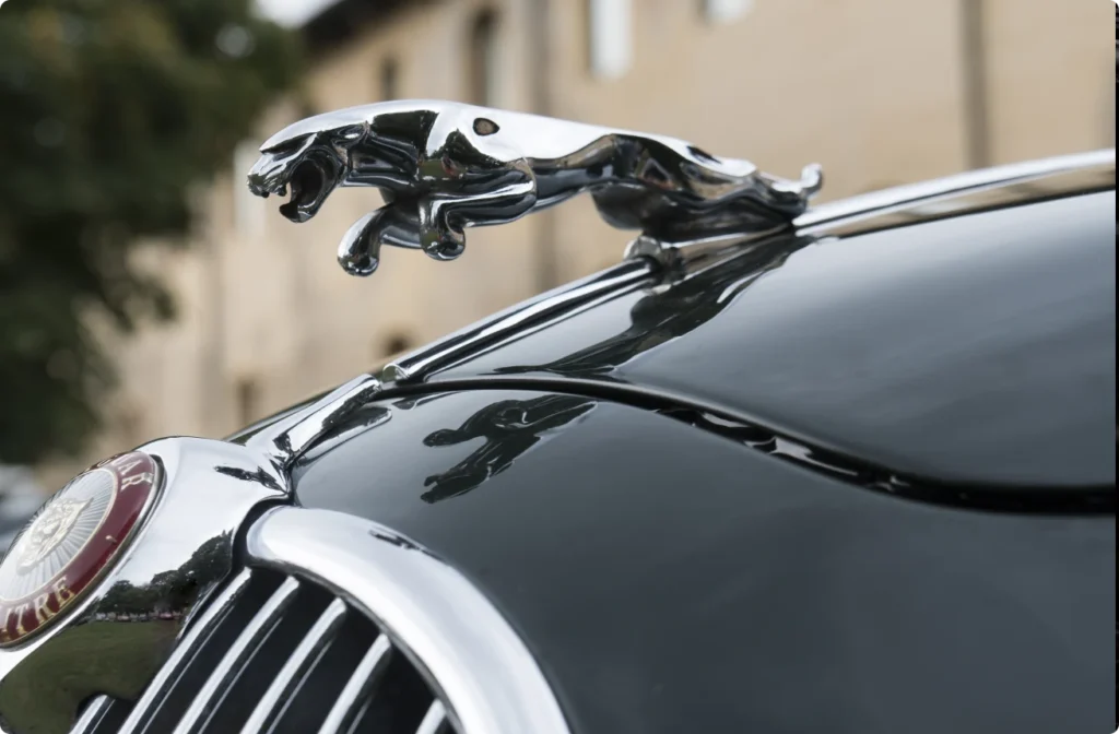 An close up image of a Jaguar emblem mounted in a vehicle's hood.